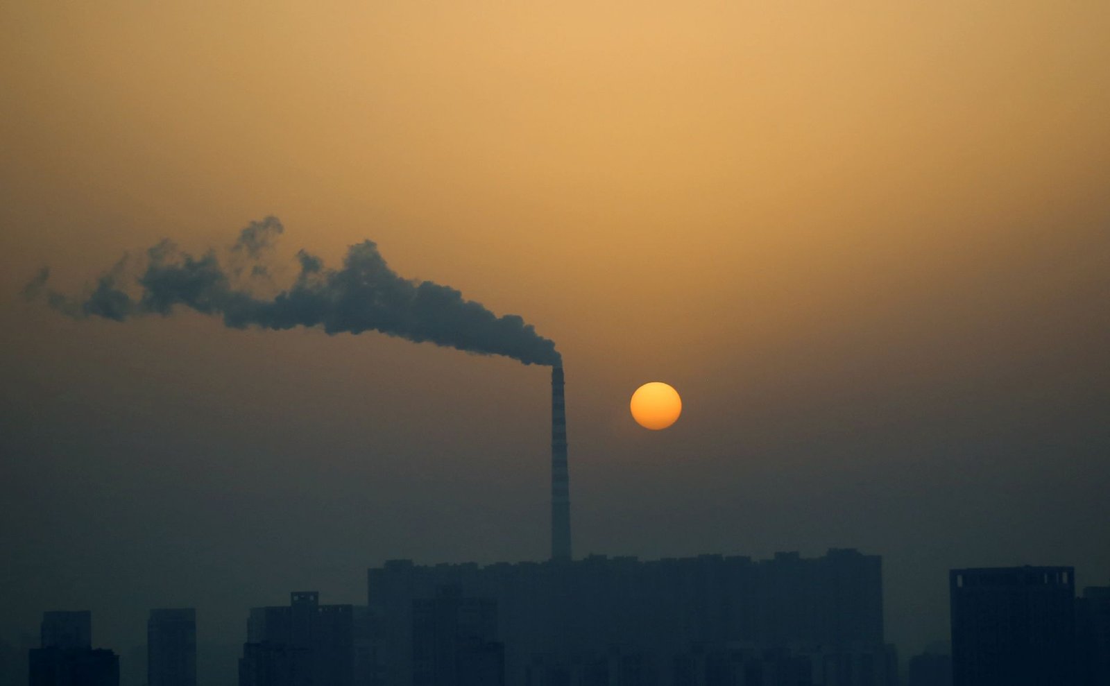 A graph illustrating carbon emissions over the last century related to the climate change debate.