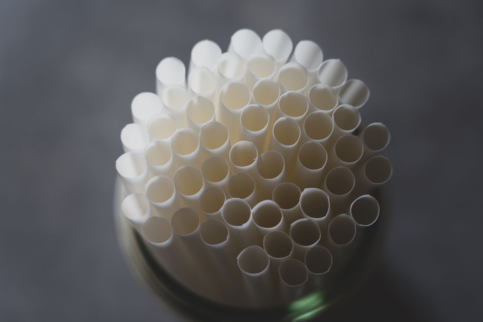 A photo of biodegradable alternatives to single-use plastics on a store shelf. — single-use plastics ban