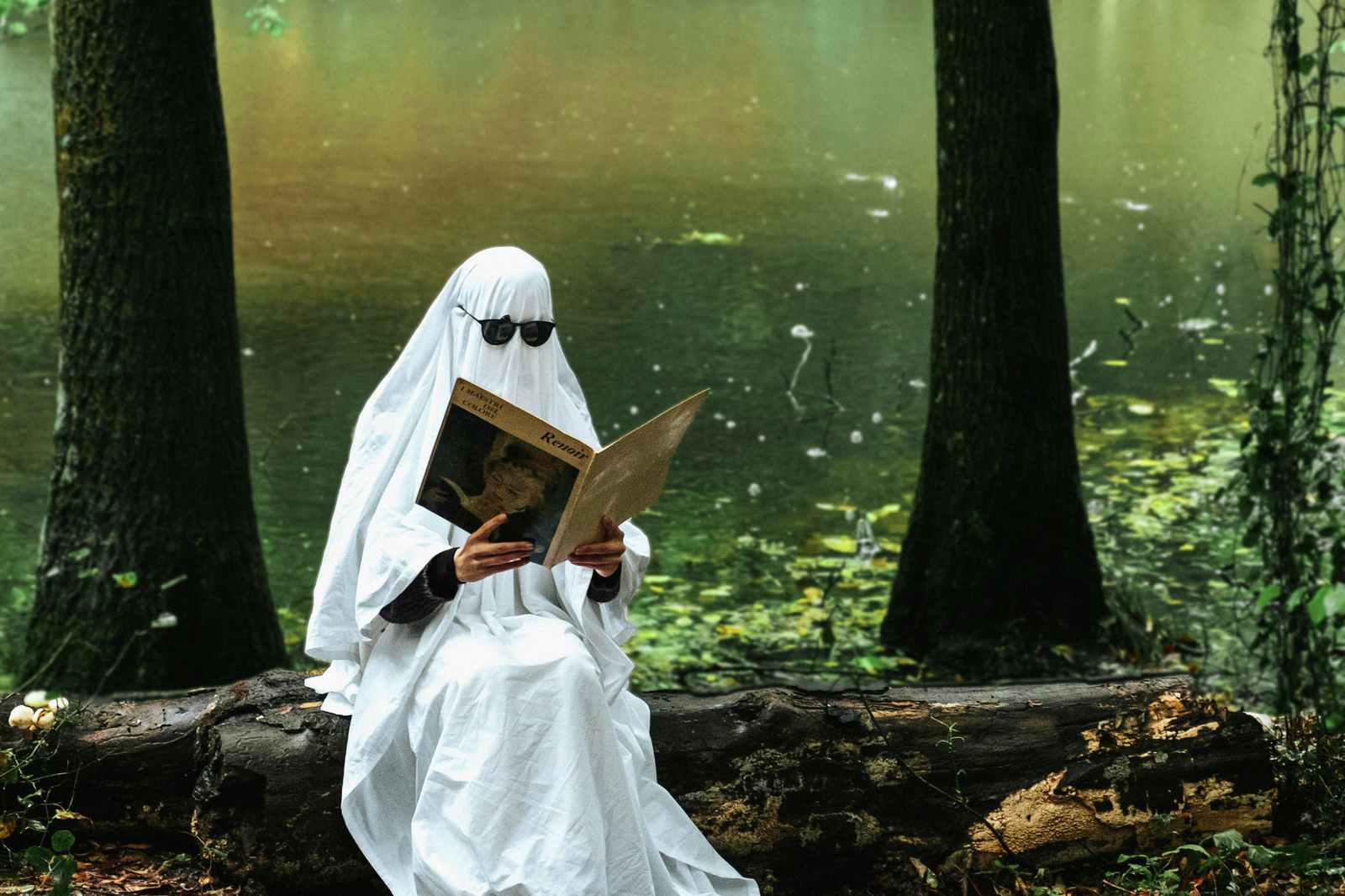 A visual representation of ghost-related literature and film influences. — ghosts debate