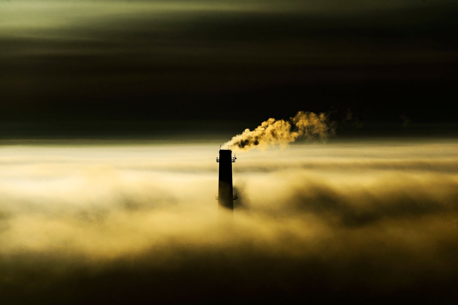 A visual representation of the greenhouse effect, showing how gases trap heat in the Earth's atmosphere. — climate chang…