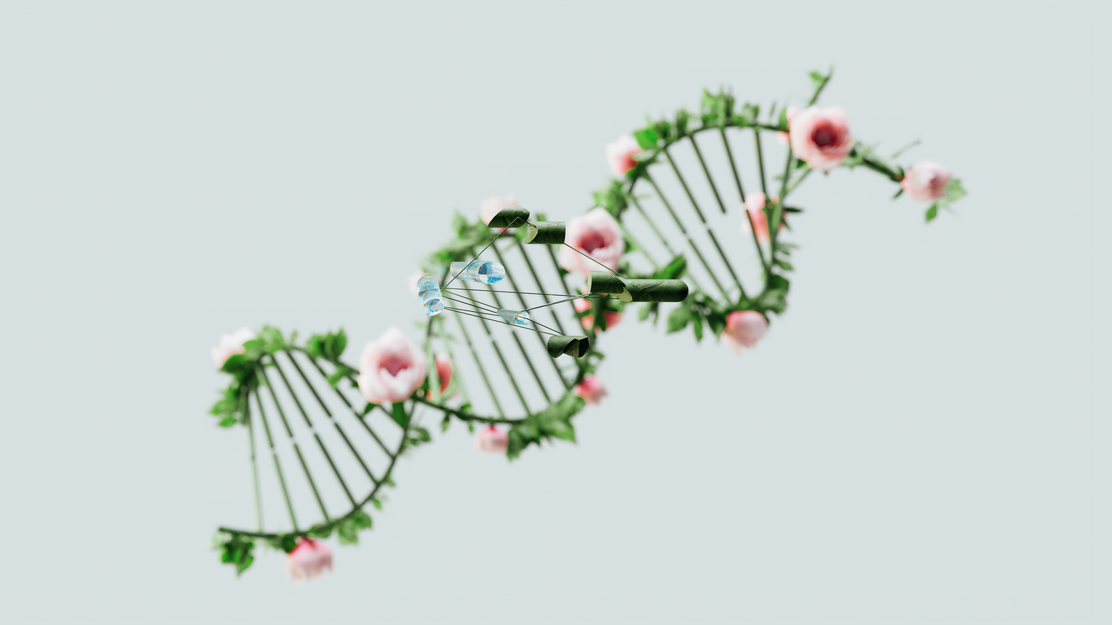 A visual representation of the nature vs nurture debate, showing elements of genetics and environment
