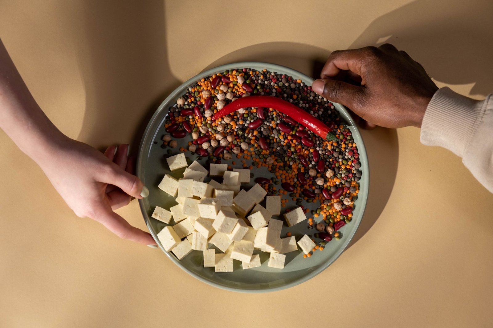 An infographic comparing nutrient profiles of vegan vs. meat-based diets — veganism debate