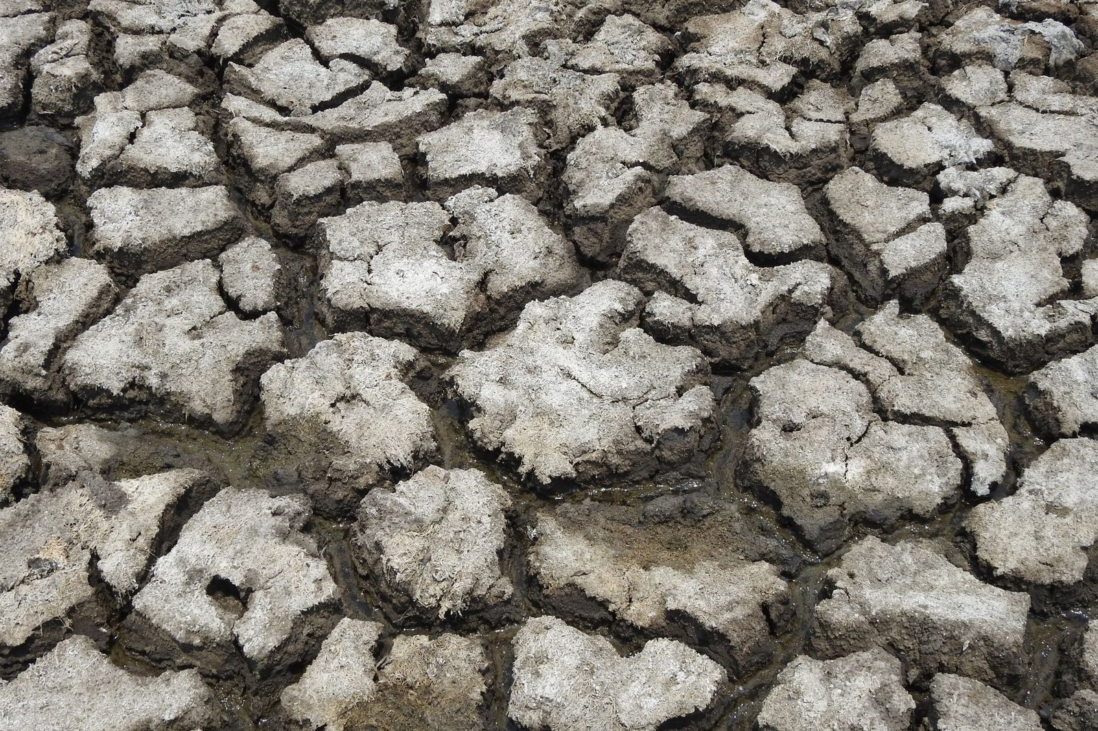 An infographic depicting the effects of climate change globally. — climate change debate