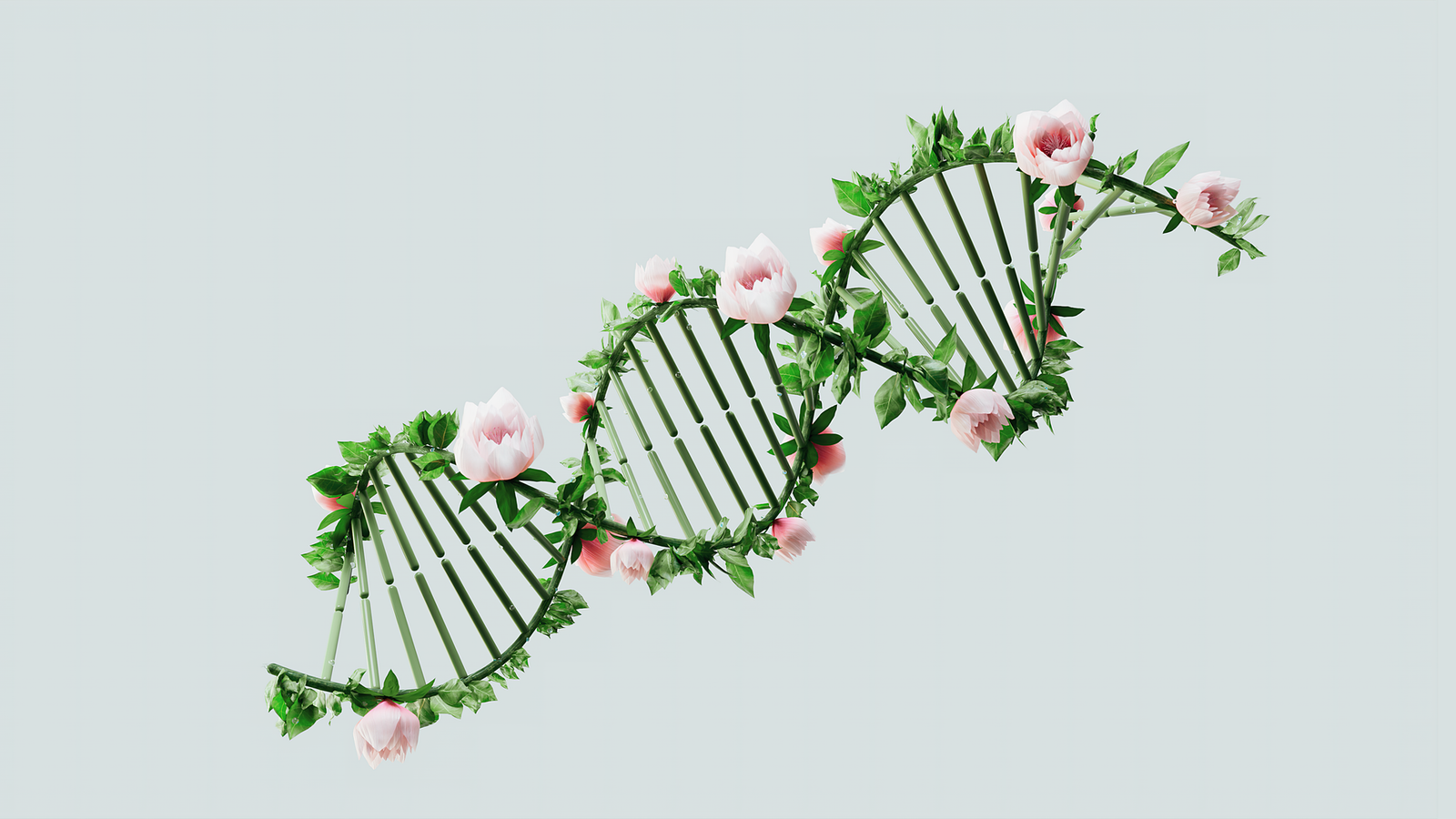 An infographic illustrating the pros and cons of genetic engineering. — science debates