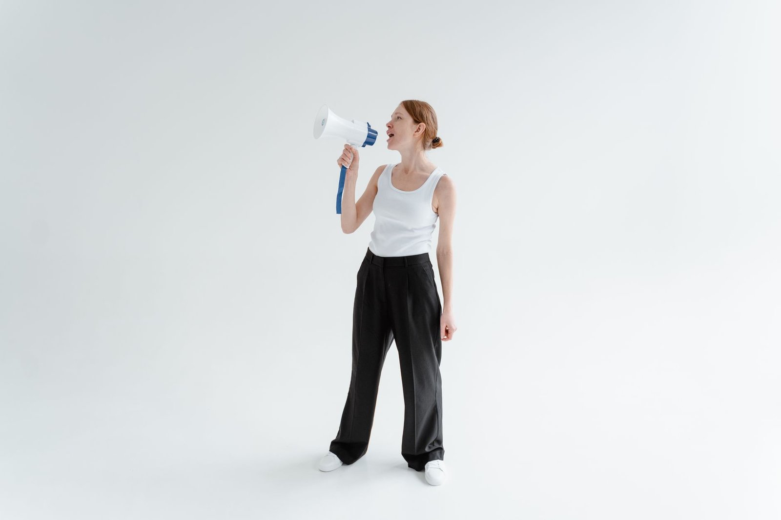 An infographic showcasing the emotional and logical appeal in persuasive speeches. — persuasion techniques
