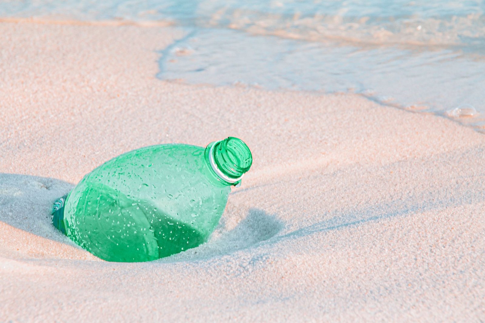 An infographic showing the percentage of single-use plastic waste in oceans. — single-use plastics ban