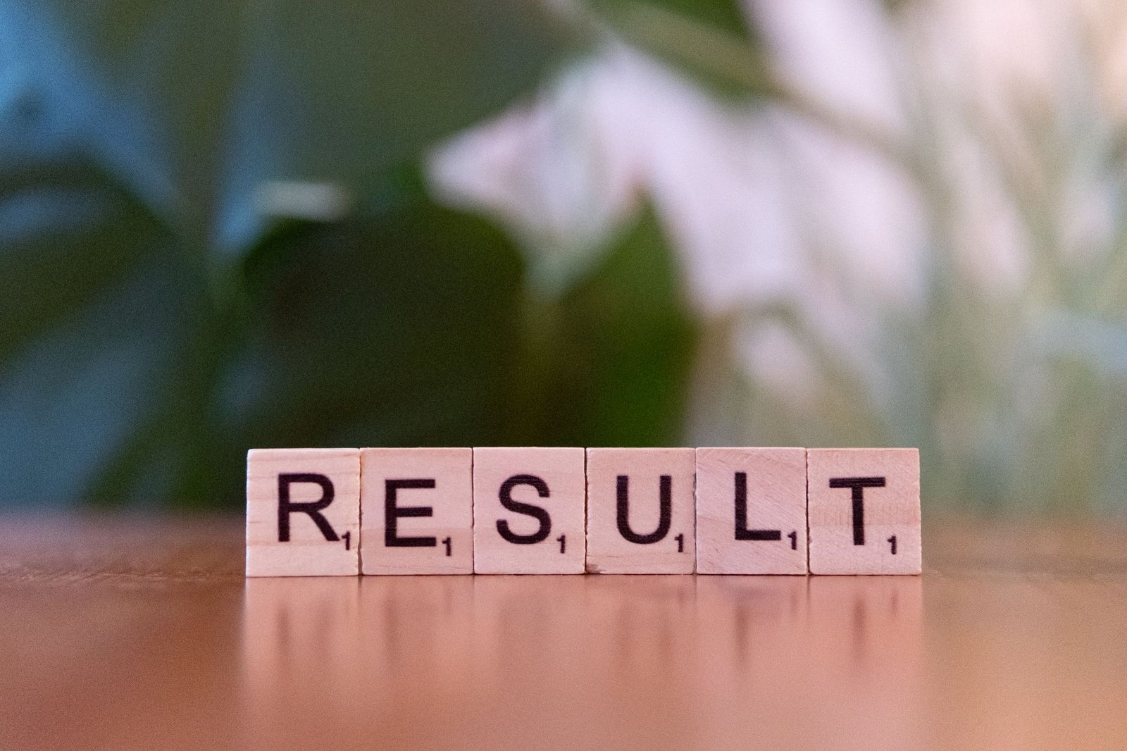 Conclusion: Finding a Balanced Approach in the Free College Education Debate