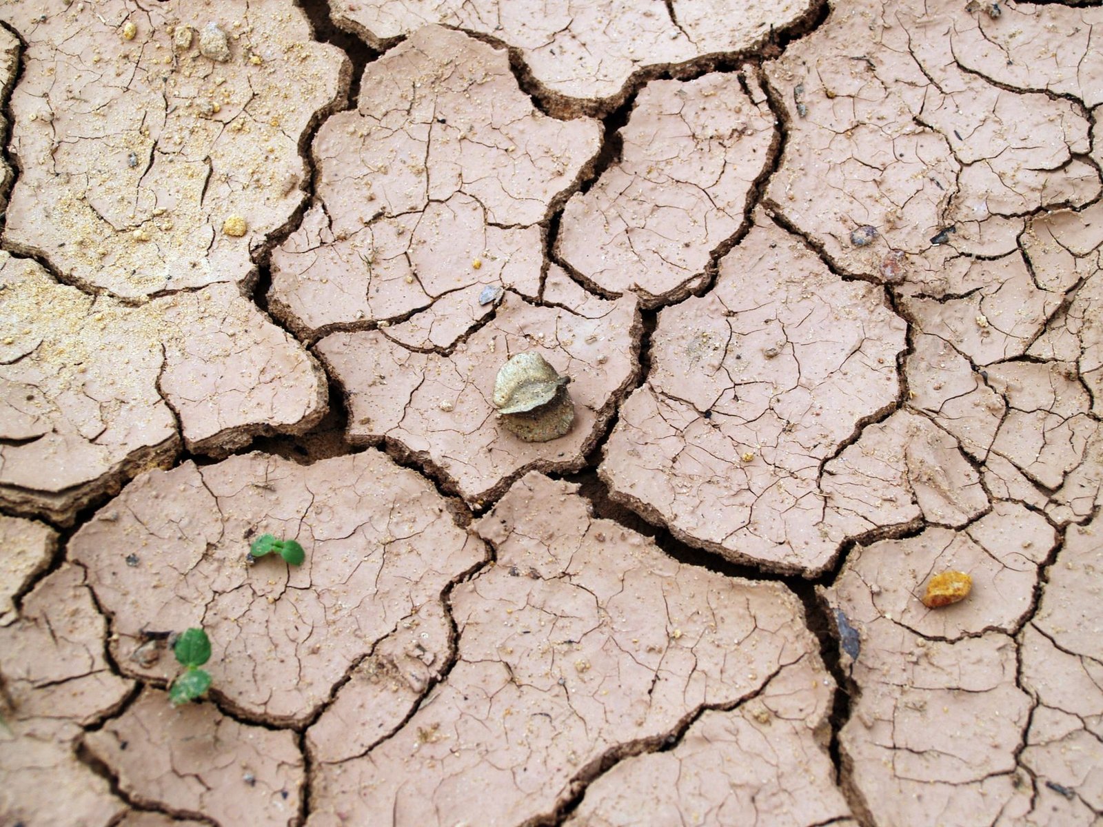 Finding Common Ground in the Climate Change Debate