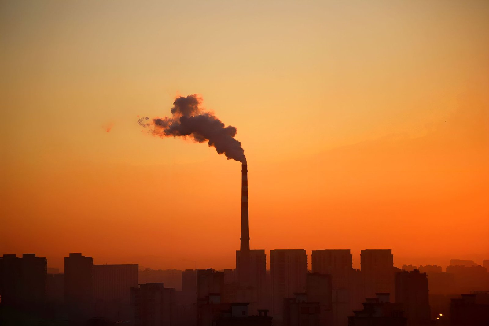 Infographic showing the impacts of climate change on the environment and society. — climate change debate