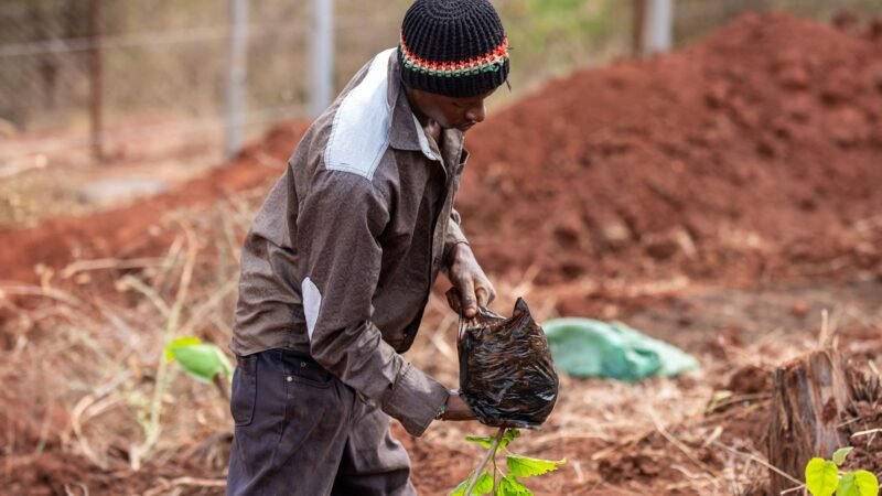 Sustainable Practices: Exploring Environmental Responsibility