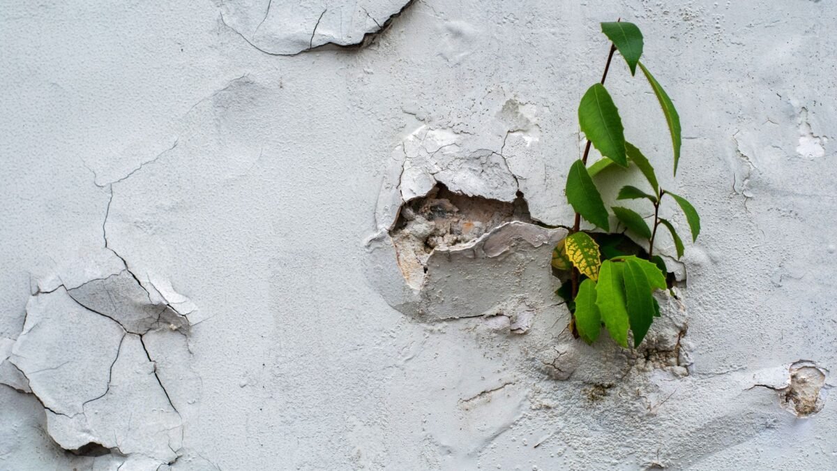The Great Debate: Nature vs. Nurture in Human Development