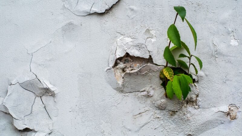 The Great Debate: Nature vs. Nurture in Human Development