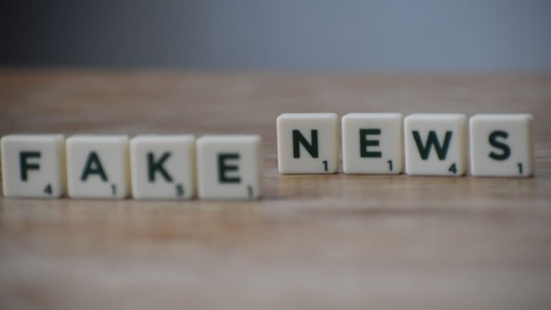 The Impact of Misinformation on Political Debates