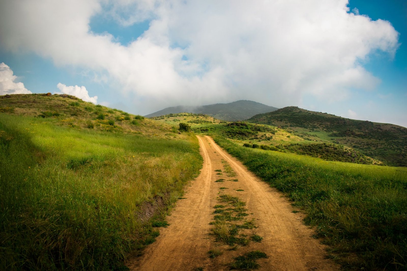 The Path Forward: Balancing Needs — single-use plastics ban