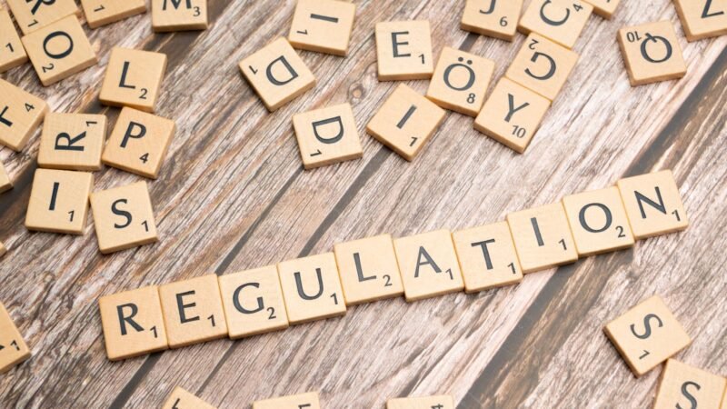 The Role of Government in Regulating Technology