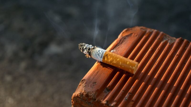 The Smoking Debate: Should It Be Banned Everywhere?