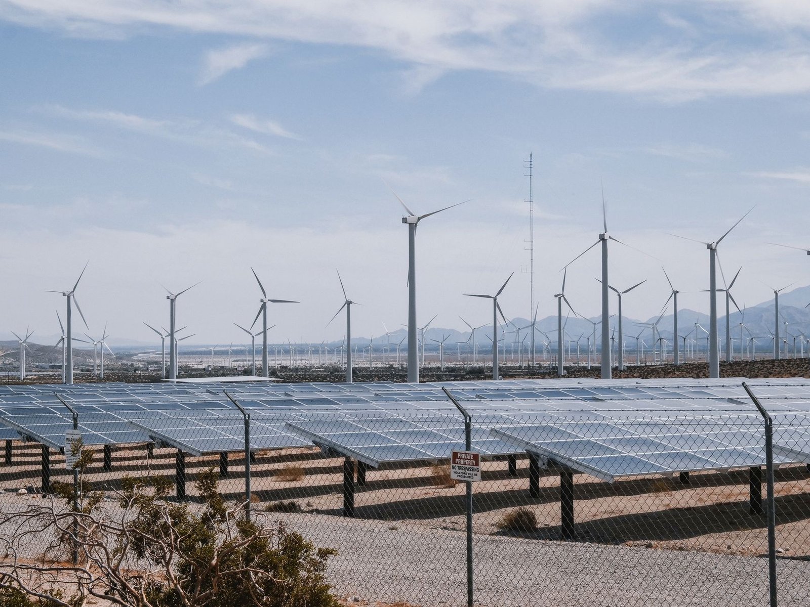 A photo of a renewable energy installation, such as wind turbines or solar panels. — climate change debate