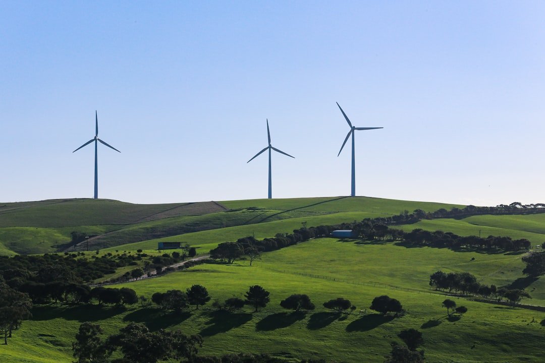 An infographic illustrating the pros and cons of renewable energy. — renewable energy debate