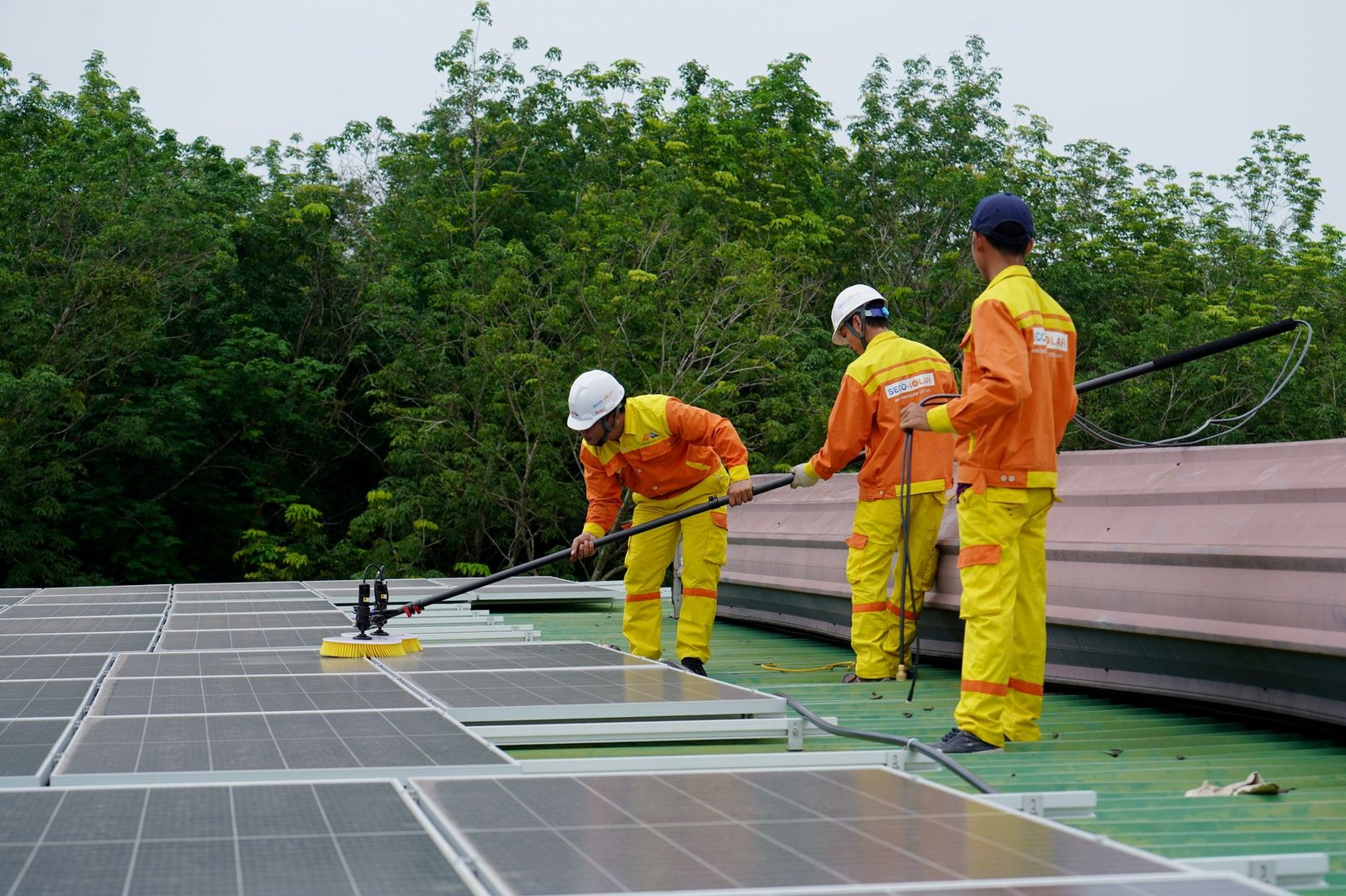 An infographic showcasing the growth of renewable energy jobs in different sectors. — climate change debate