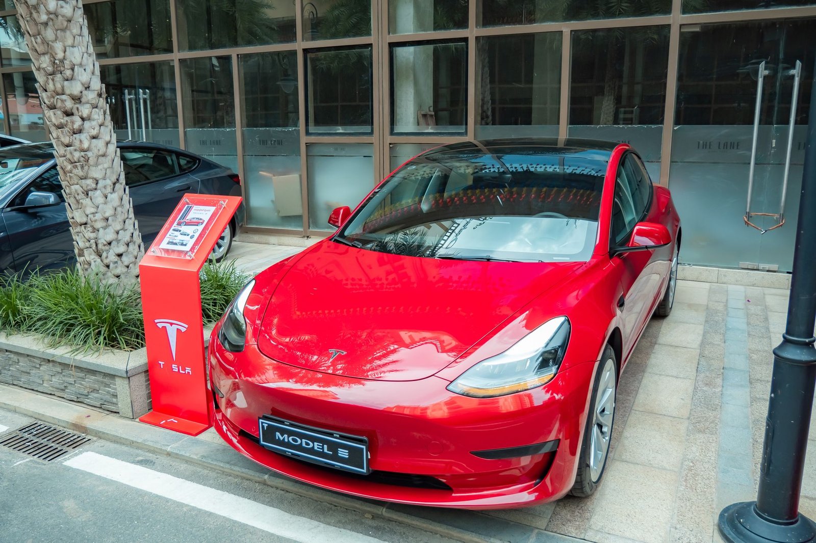 An infographic showing the growth of electric vehicle adoption over the years. — electric cars debate