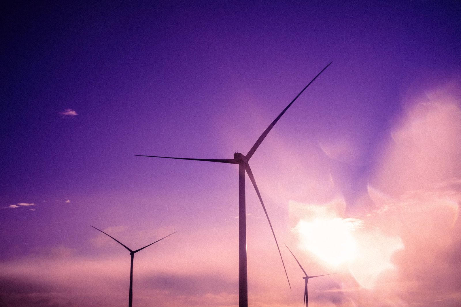 An infographic showing the growth of renewable energy sources over the last decade, highlighting solar and wind technologi…