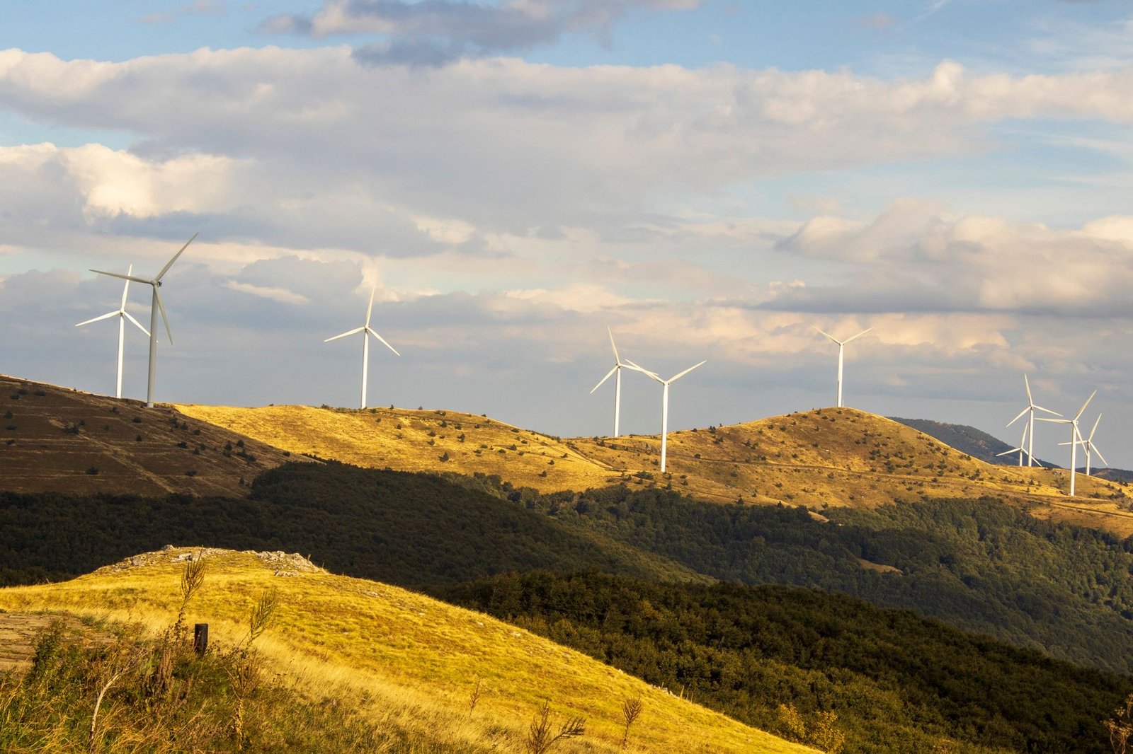 Challenges in Implementing Climate Change Solutions