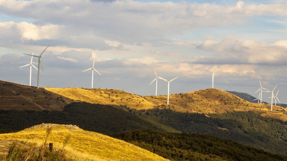 Climate Change Solutions: The Great Debate on Approaches