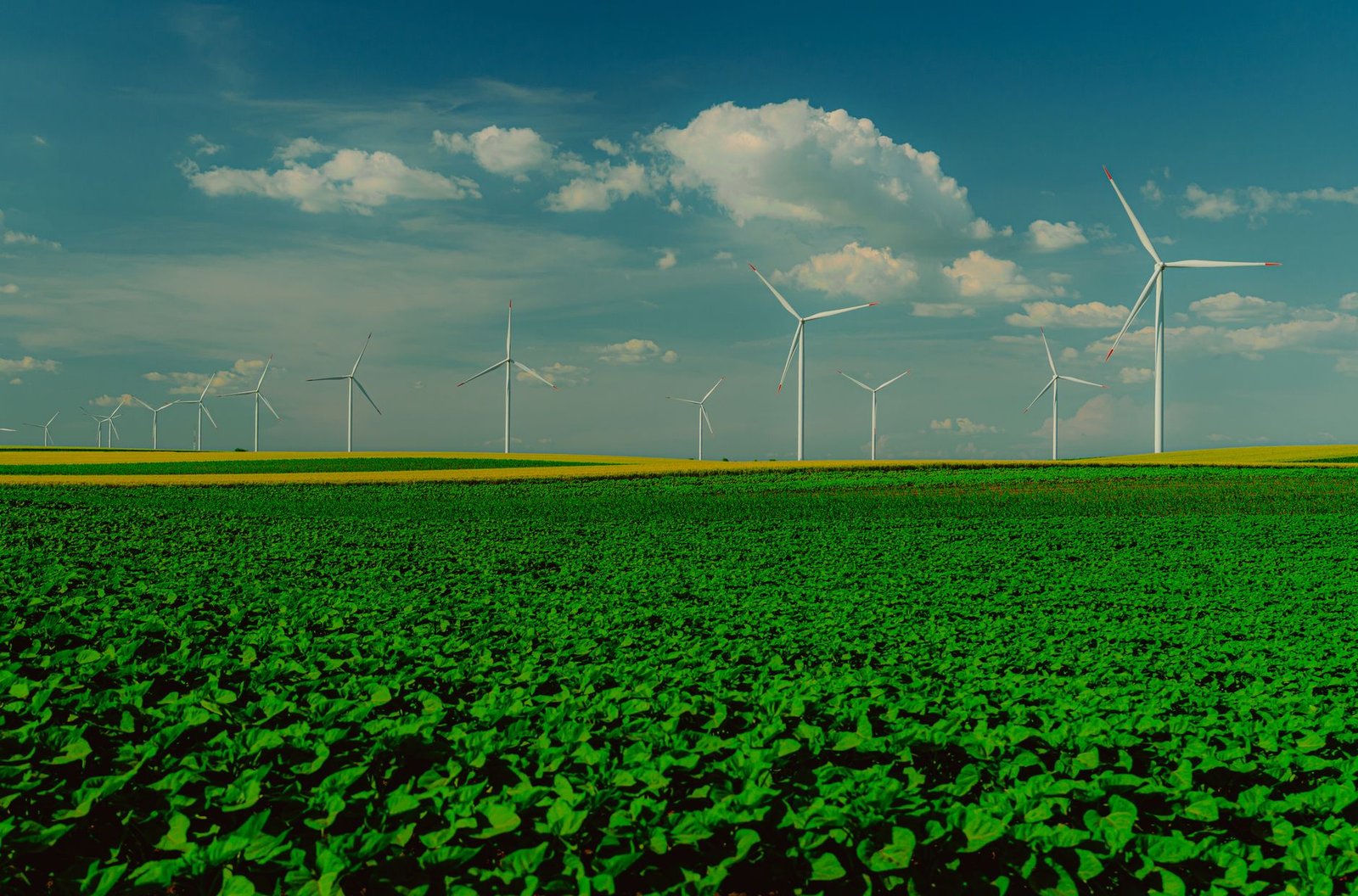 Conclusion of the Renewable Energy Debate