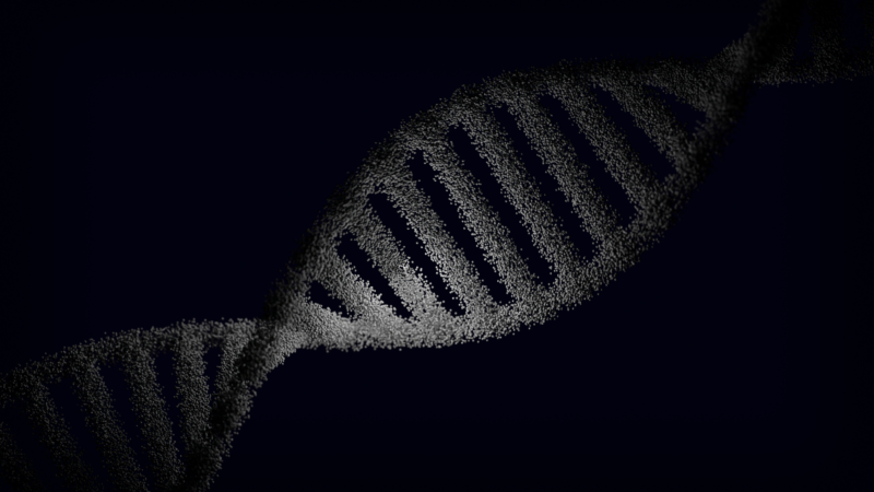 Exploring Genetic Engineering Ethics and Future Prospects