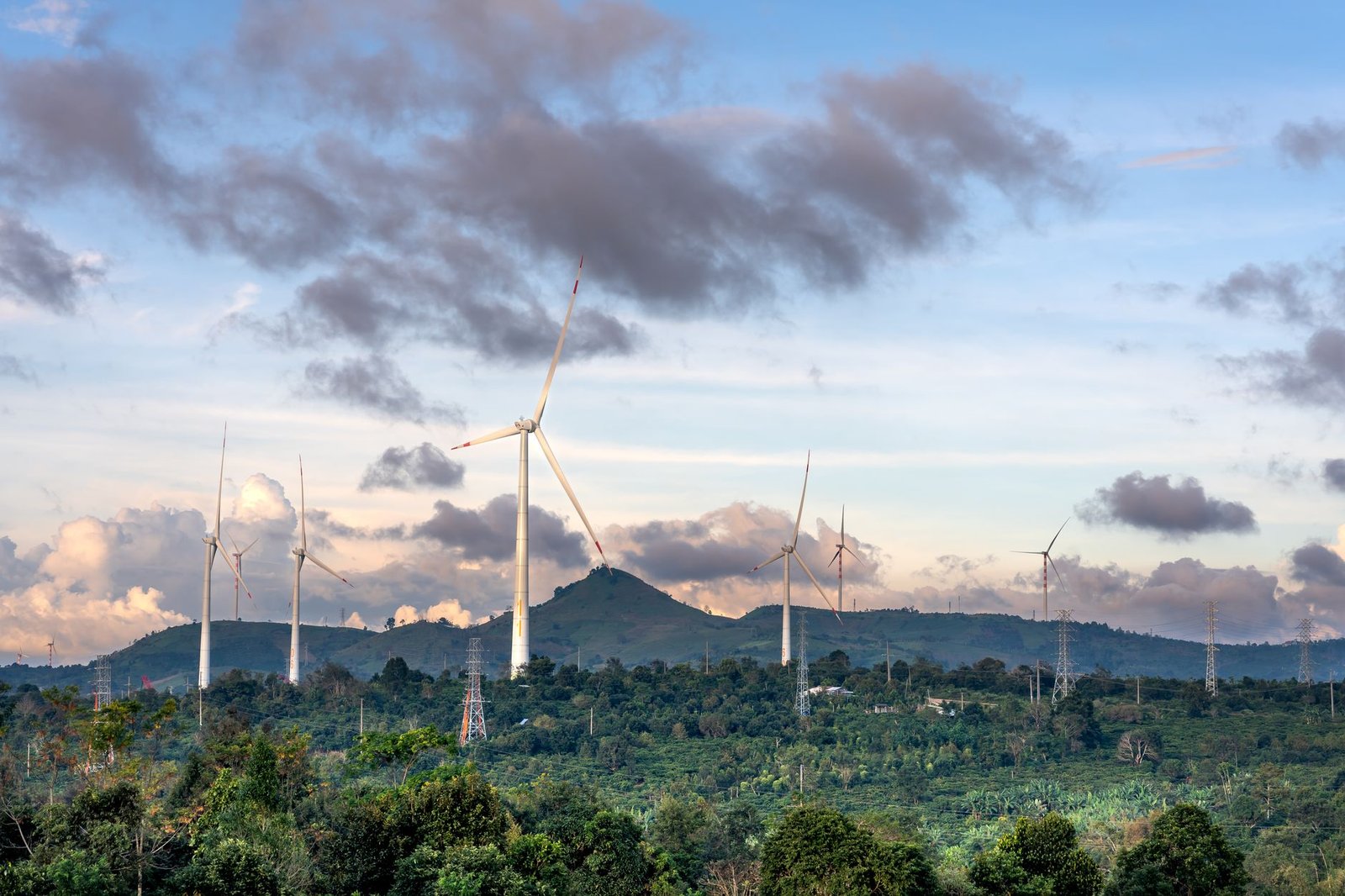 Infographic showing various renewable energy sources and their benefits. — climate change solutions