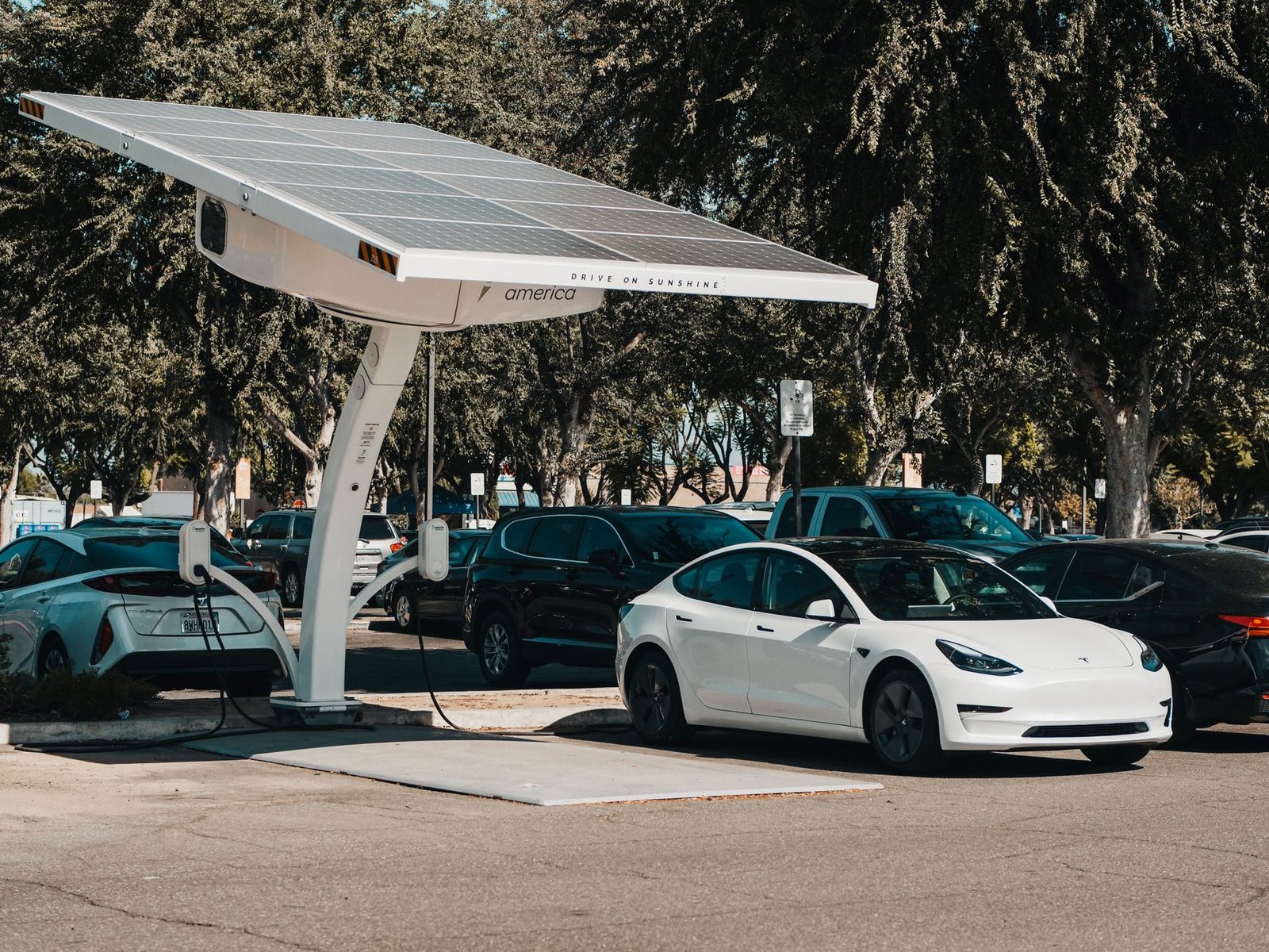The Future of Electric Cars in the Debate — electric cars debate