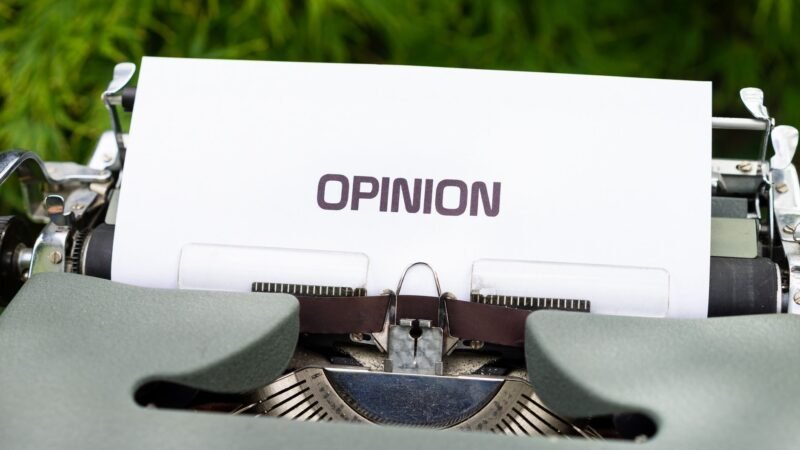 The Role of Education in Shaping Public Opinion