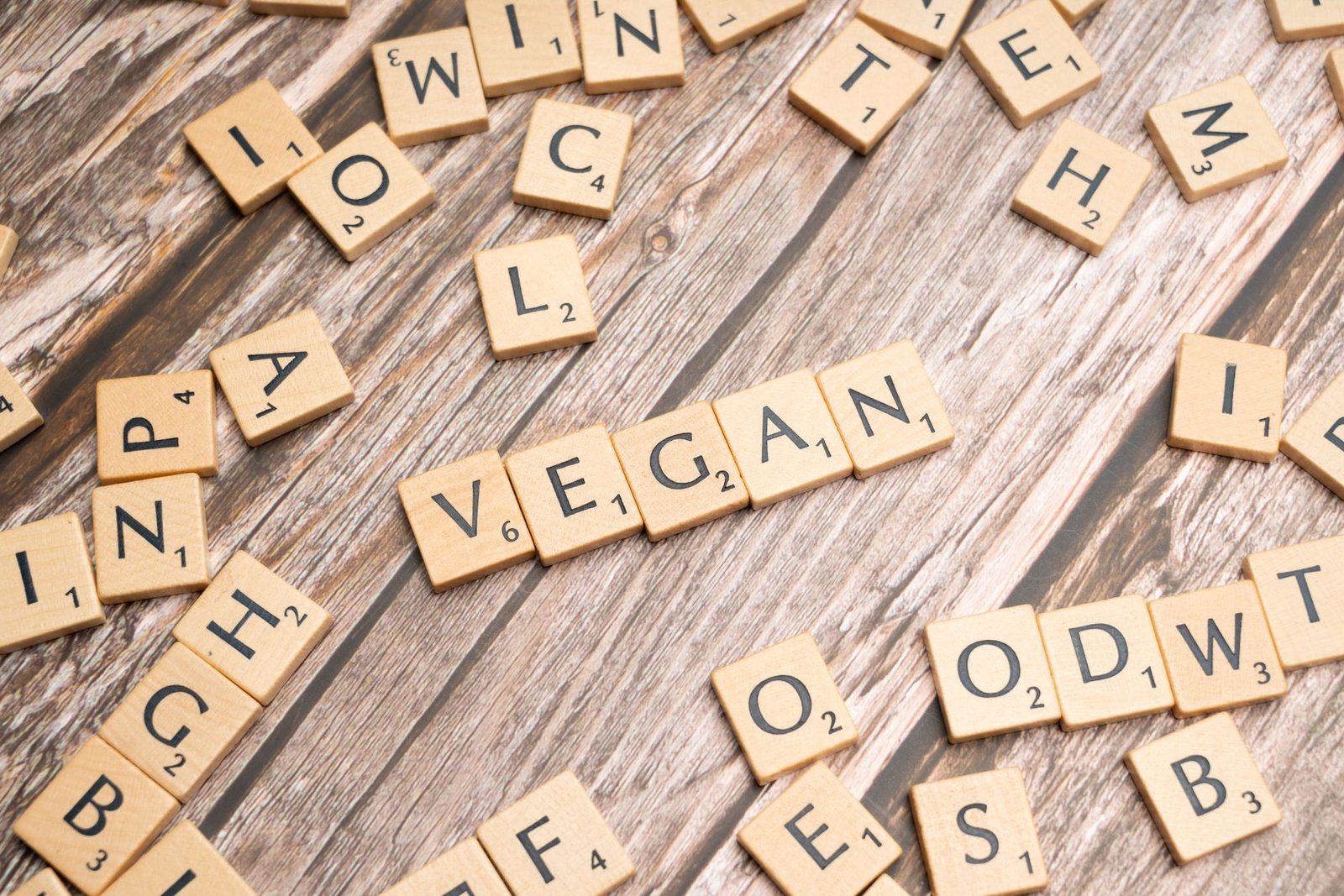 A diagram illustrating the ethical frameworks surrounding the animal rights debate.