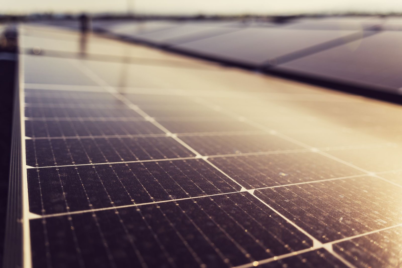 Actionable Takeaways on Climate Change Solutions