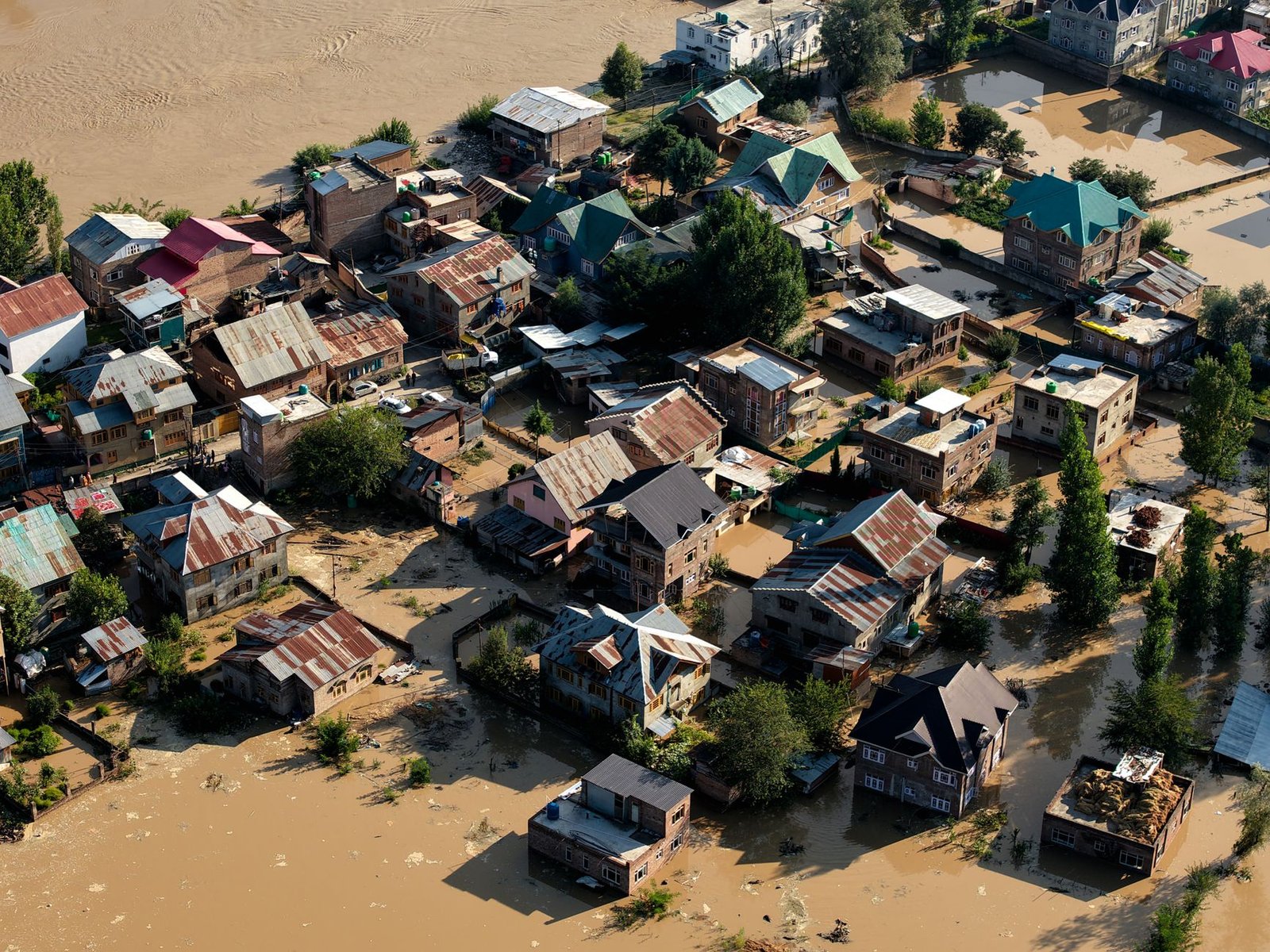 An infographic depicting the effects of climate change on different ecosystems, highlighting vulnerable areas. — climate…