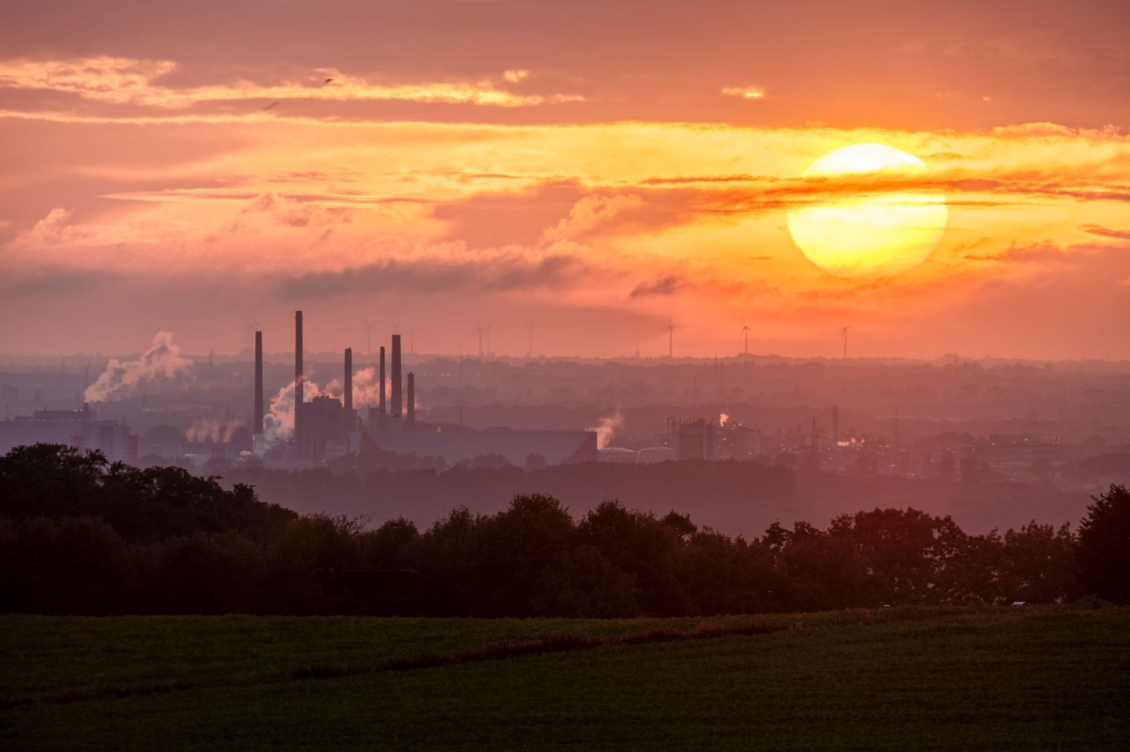 An infographic illustrating the carbon footprint of individual actions vs corporate emissions. — climate change debate