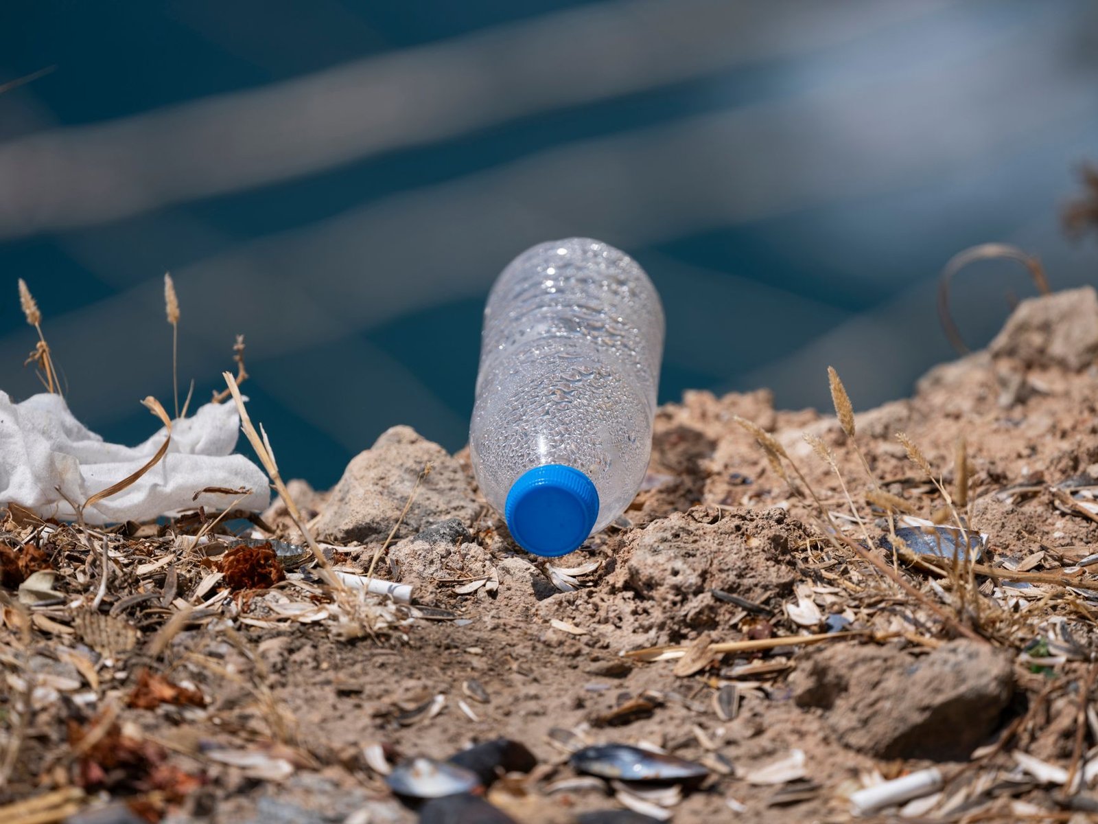 An infographic showing the impact of plastic pollution on marine life, emphasizing the need for a single-use plastic ban. …