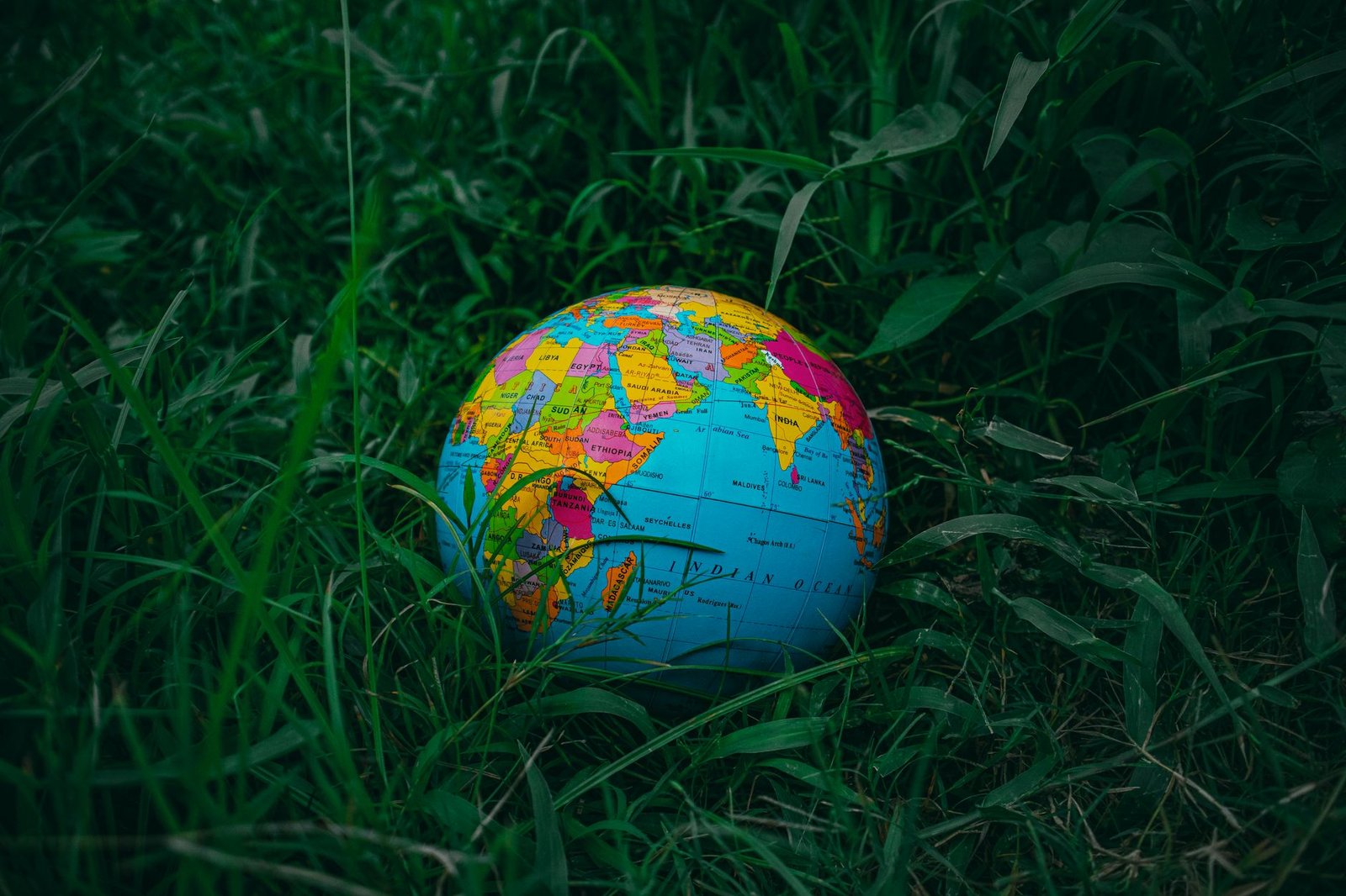 Conclusion: Navigating the Sustainability Debate