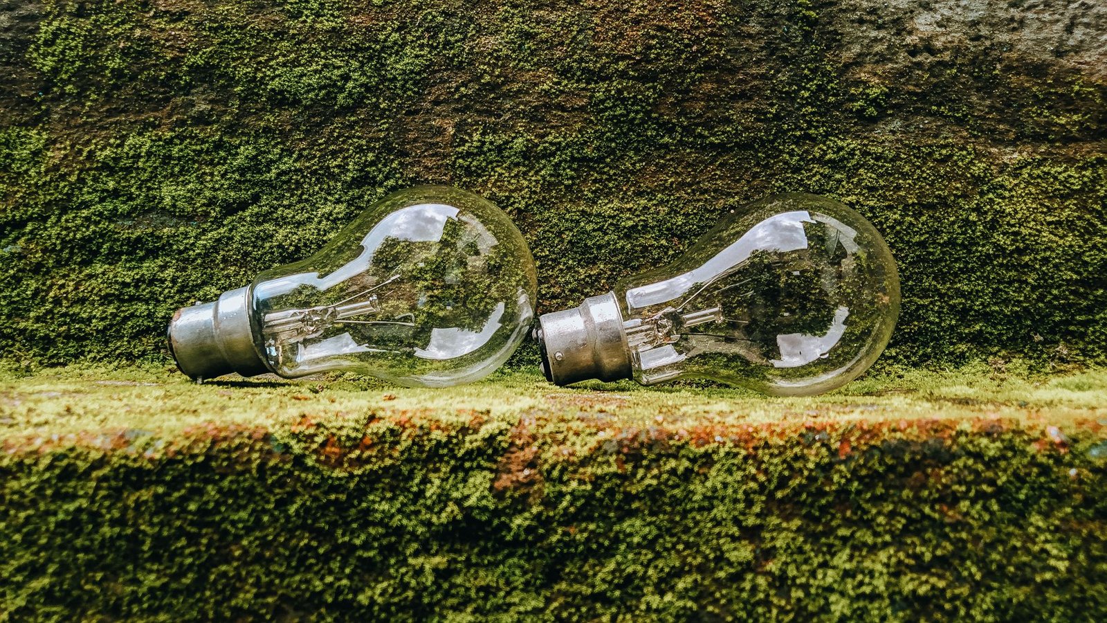 Finding Common Ground in the Sustainability Debate