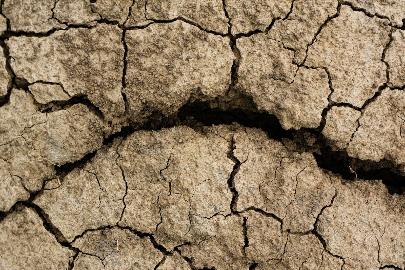 Infographic detailing the effects of climate change on ecosystems — climate change debate