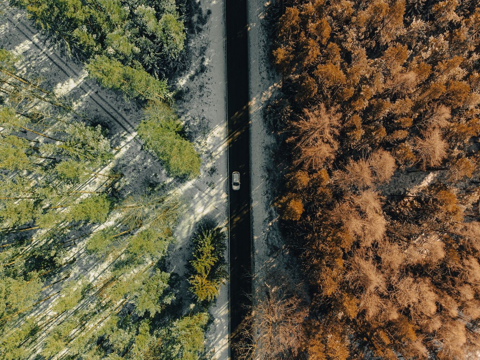 Moving Forward: Bridging the Divide in the Climate Change Debate