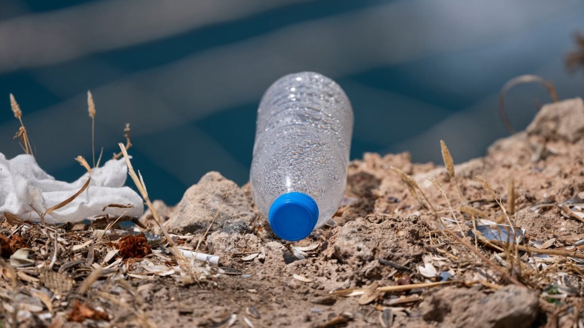Single Use Plastic Ban Pros and Cons Explained