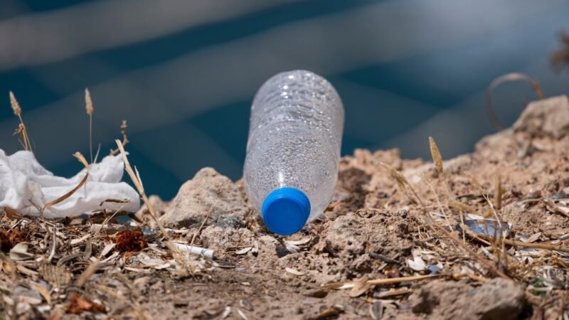Single Use Plastic Ban Pros and Cons Explained