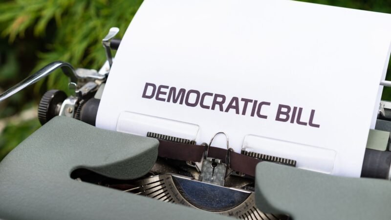 The Journalism Democracy Debate: Its Role in Society